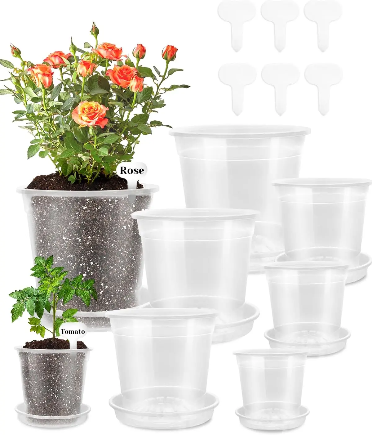 

6 Pack Clear Nursery Pots with Drainage 9.5/8/7.5/6.7/5/4.5 Inch Nursery Pots with Saucers Transparent Seedling Pots Inc