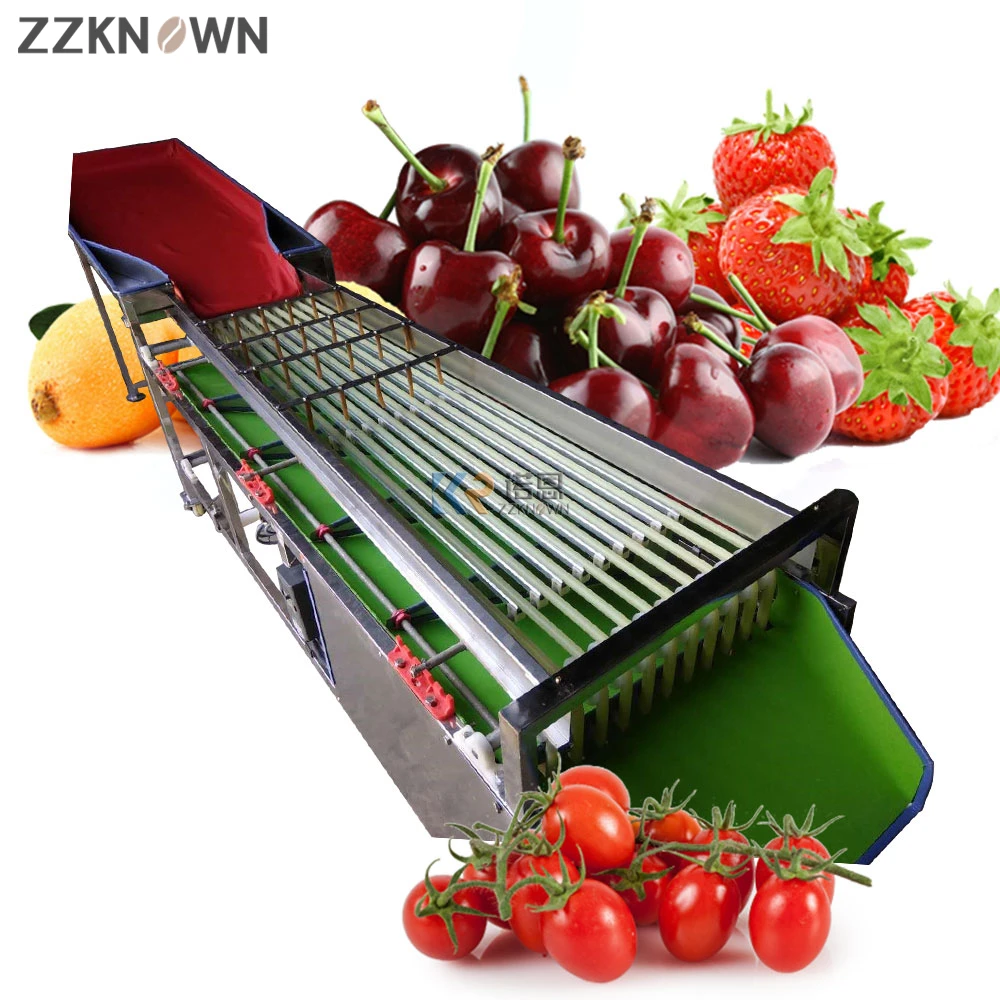 

Speed Adjusted Automatic Fruit Vegetable Sorting Grading Machine Automatic Dates Sorter Cherry Hawthorn Walnuts Grader