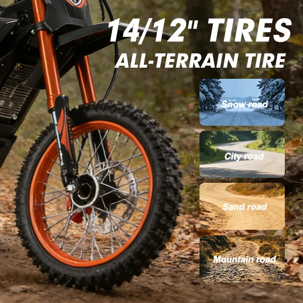 3000W Electric Dirt Bike 20.8Ah Battery Electric Motorcycle Fat Tire Suspension  Speed Modes Off Road E Bike for Adults Teens image 5