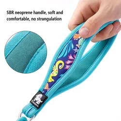 TRUELOVE TLL25761 Comfortable And Wear-resistant Pet Leash SBR Neoprene Handle High-denisty Polyester Weave And Tear-resistant
