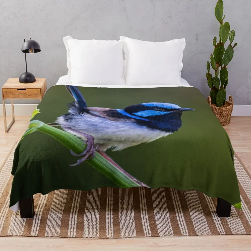 

Australian Superb Fairy-Wren Throw Blanket funny gift Picnic Nap Blankets