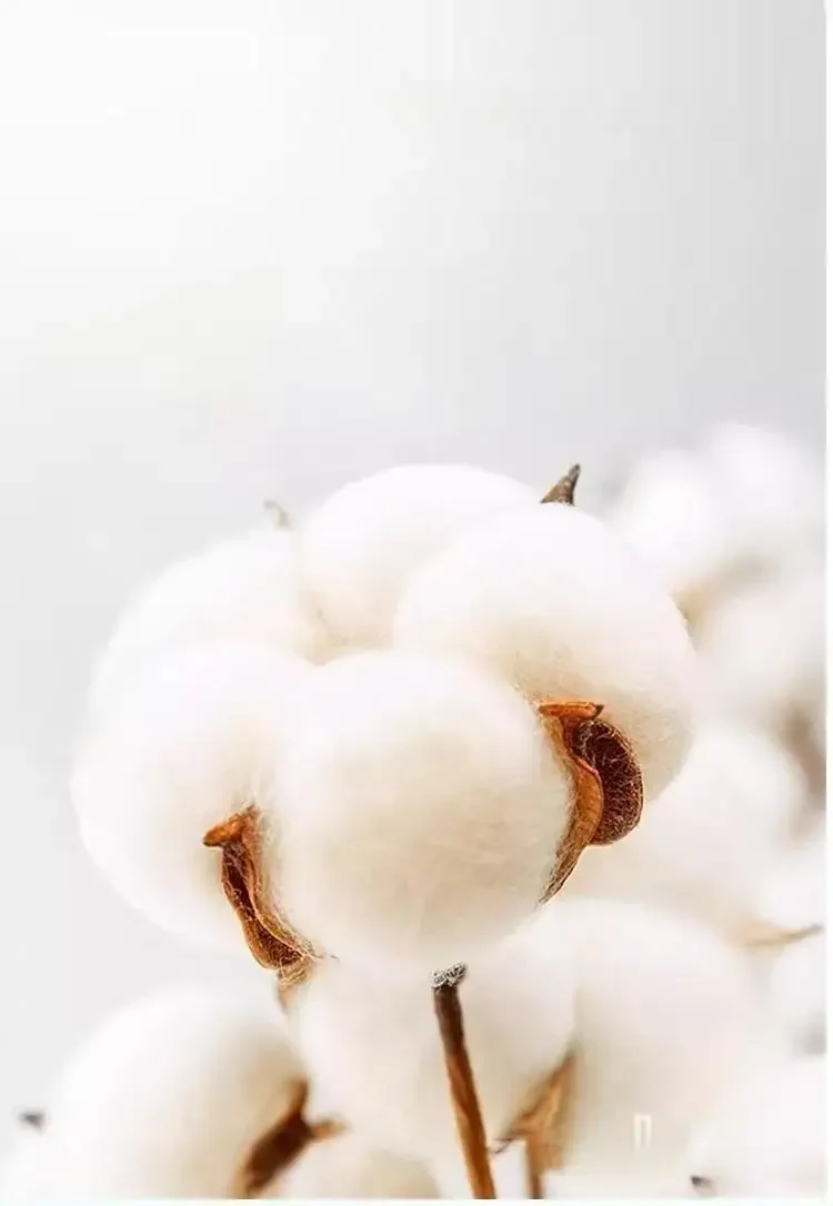 تي شيرت صيفي Kpop Devil Hunter مطبوع عليه رسوم كرتونية للأطفال من القطن Harajuku رائع للأولاد والبنات كاجوال بأكمام قصيرة