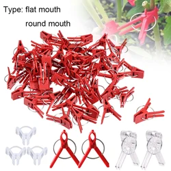 25-100 pezzi Clip per innesto di piante attrezzo da giardinaggio in plastica per cetriolo melanzana anguria, bocca tonda bocca piatta morsetto Anti-caduta