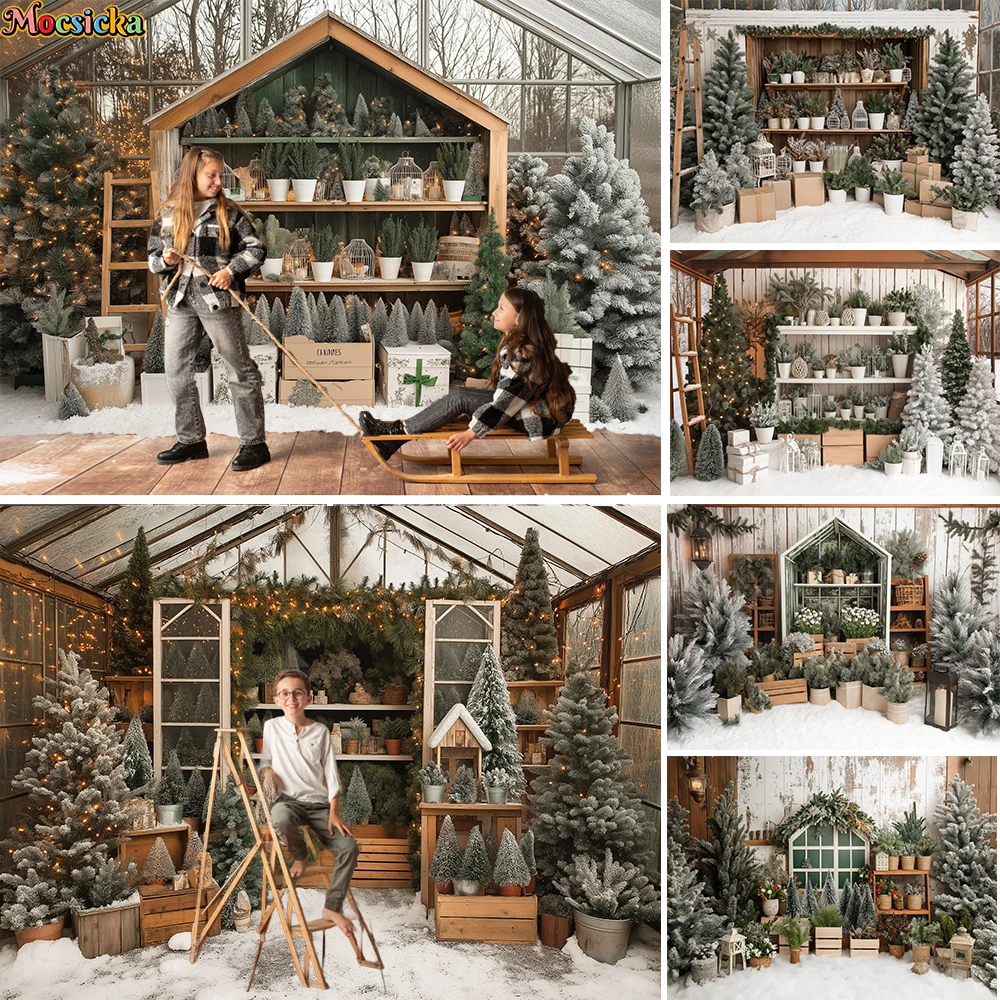 Christmas Tree Greenhouse Background Photography Winter Snowy Potted Plant Wooden Shelf Backdrop Kids New Year Photo Studio