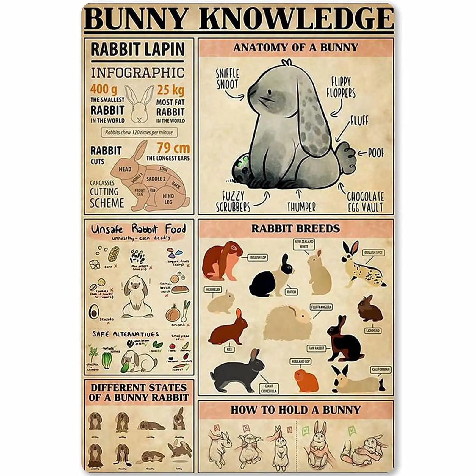 

Veidsuh Bunny Knowledge Metal Sign Poster Tin Sign Metal Sign Metal Tin Sign Metal Plaque