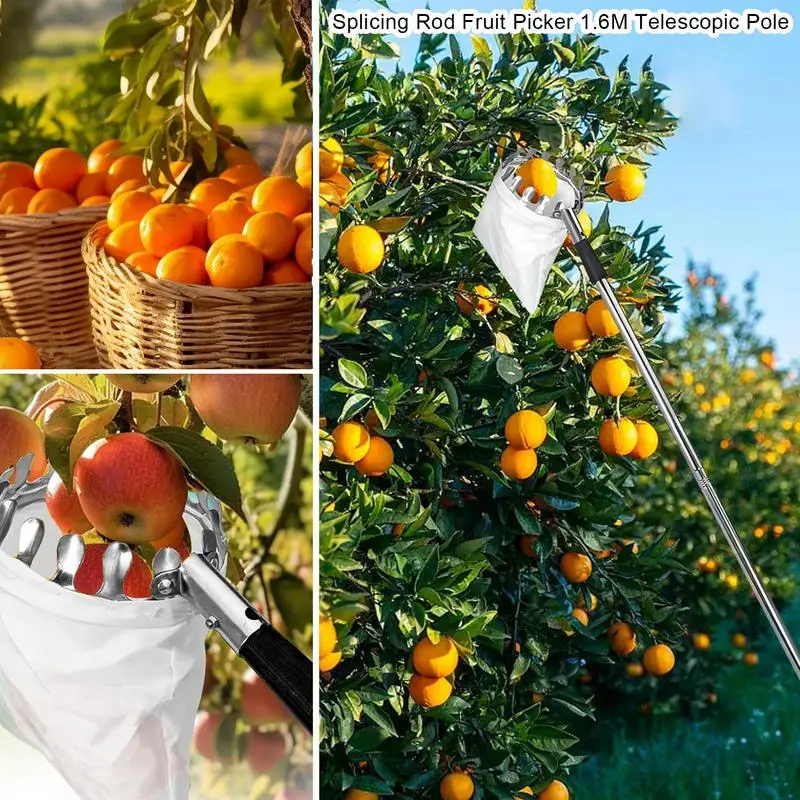 Fruit Picker Pole Adjustable Fruit Picker With Telescopic Handle Stainless Steel Adjustable Grabber Reacher Tool For Picking