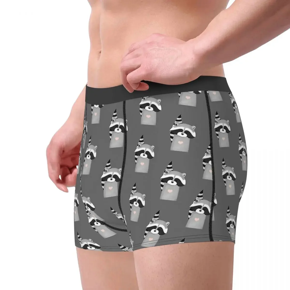 Raccoon Procyon Lotor Animal Meme Underpants Cotton Panties Men's Underwear Sexy Shorts Boxer Briefs