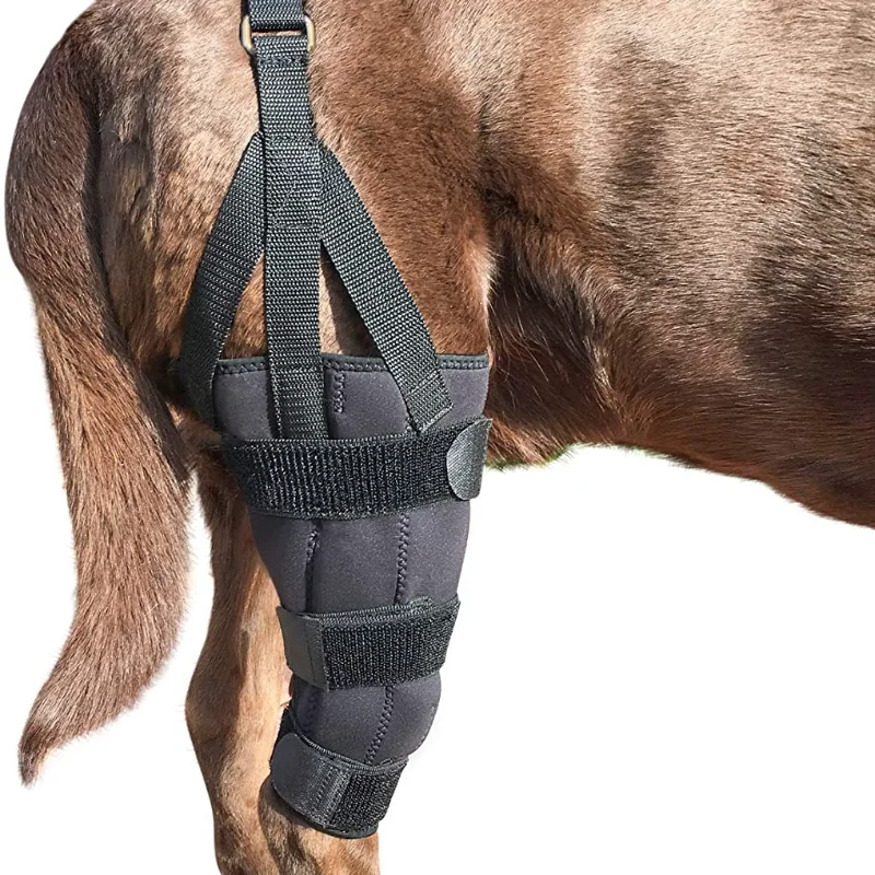 

Brace Wrap Metal Hinged Flexible Support Treat Luxating Patella Cruciate Ligament Sprain Strain