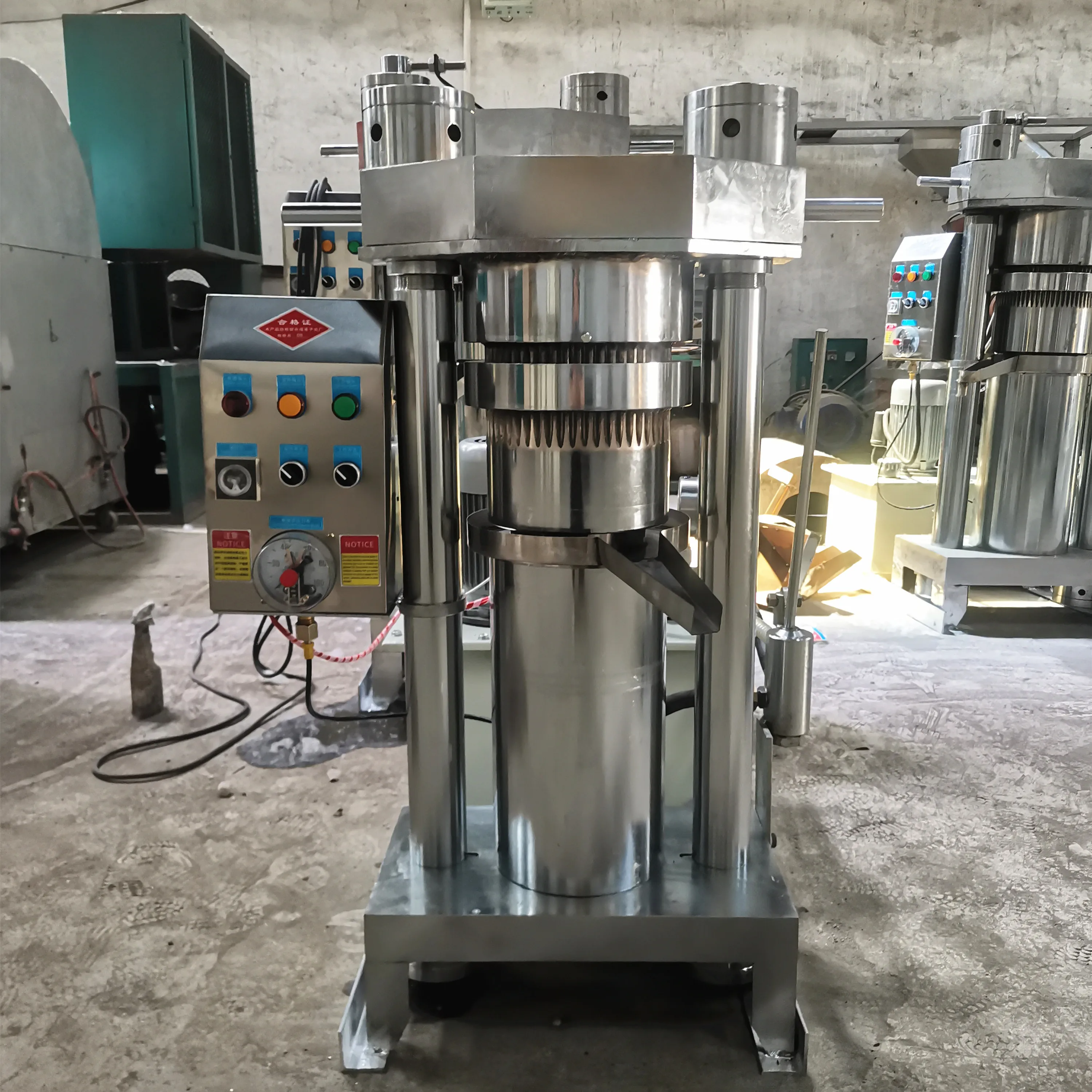 2025 Hot Sale Crude Oil Extraction Machine Turkey Sesame & Palm Kernel Oil Presser Cold Press Technology