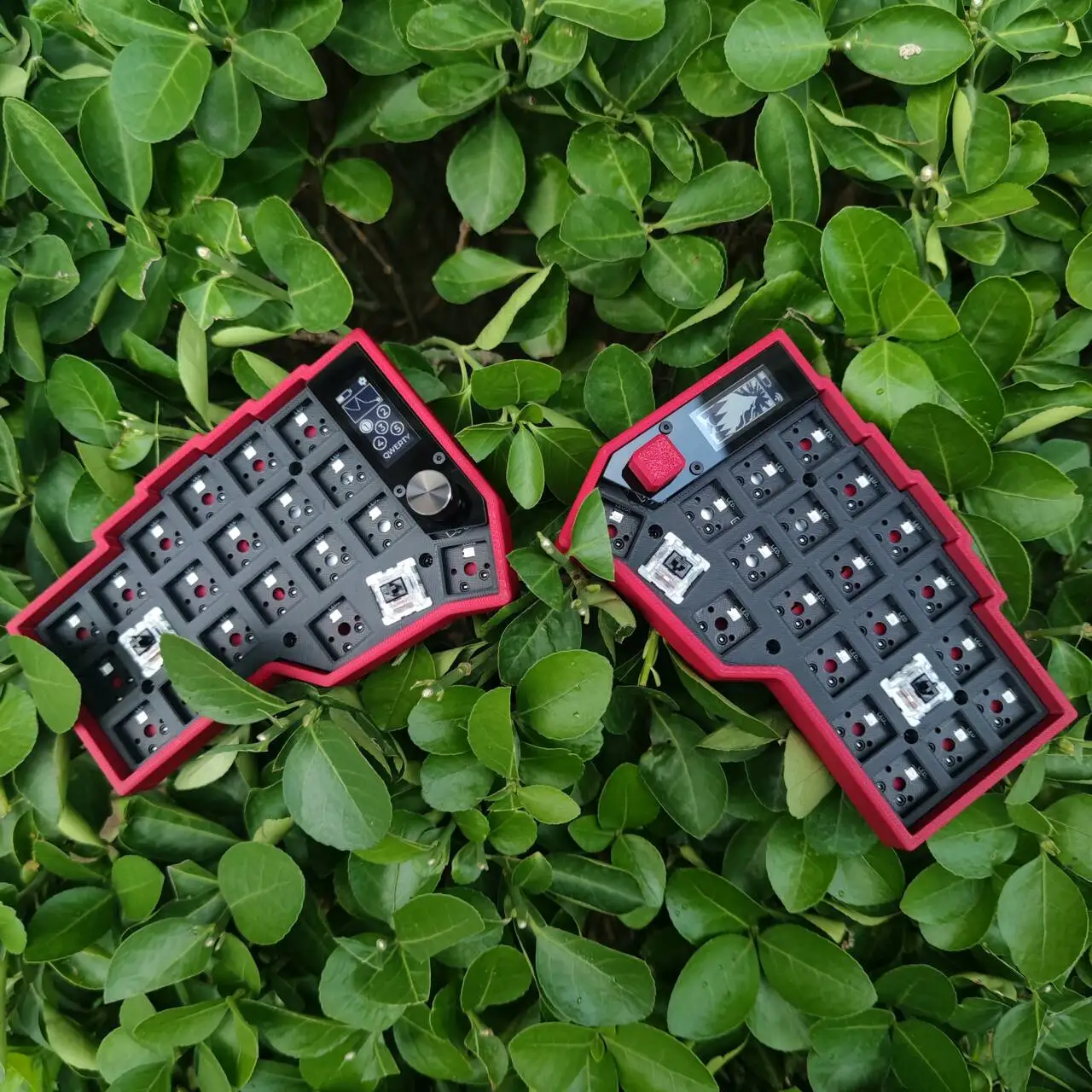 Imagem -06 - Corne Split Kit de Teclado sem Fio Pcb E-ink Tela Rgb Troca Quente Personalizar Kit de Teclado Mecânico para Zmk sem Interruptor Keycap Split