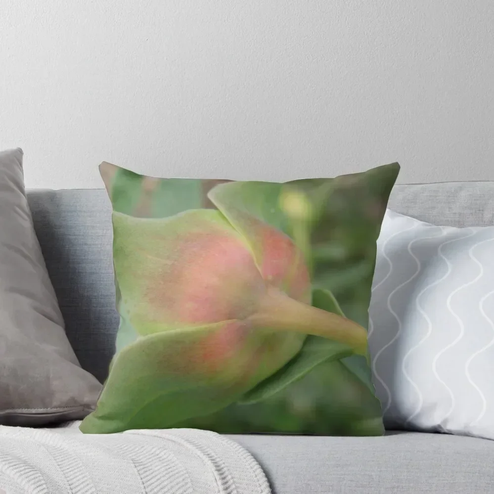 

I am not ready to show my face yet Throw Throw Pillow Christmas Pillow Covers Plaid Sofa Anime pillow