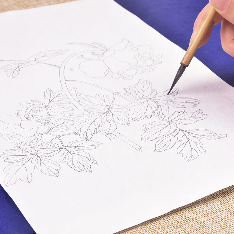 Imagem -05 - Meticuloso Linha Brushwork Desenho Xuan Papel Peônia Delicada Pintura Tradicional Chinesa Rascunhos para Iniciantes Art Supply
