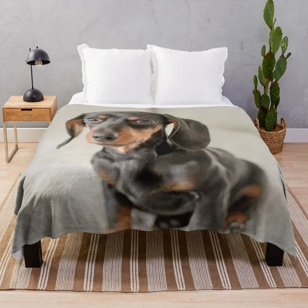 

Dachshund Throw Blanket Thin Soft Blanket for Summer Night Sleeping