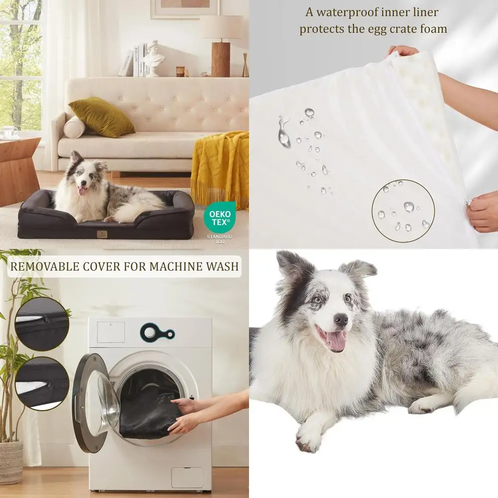 

Large Egg Foam Dog Bed with Waterproof Cover and Non-Slip Base for Big Dogs, Removable and Washable, Black