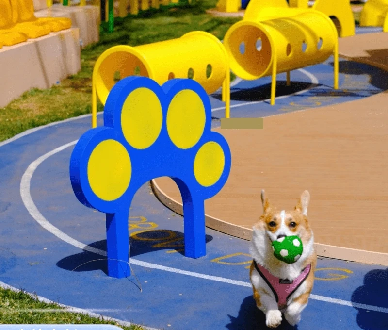 Durable and easy-to-clean pet training equipment dog platform for dog agility training and pet socialization