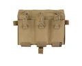 Coyote Brown
