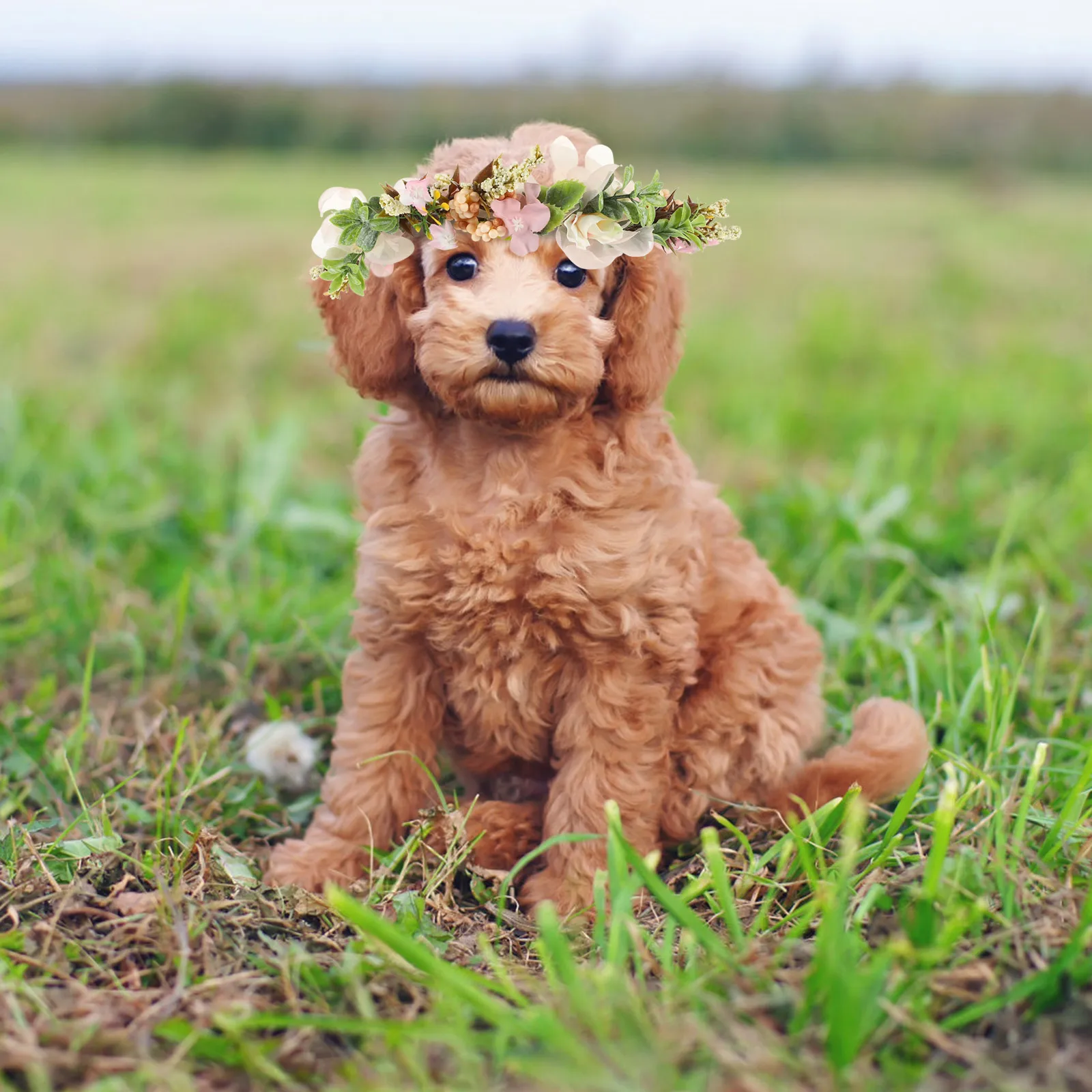 

Floral Dog Collar Wedding Necklace Tag Collars with Flower Accessories for Dogs