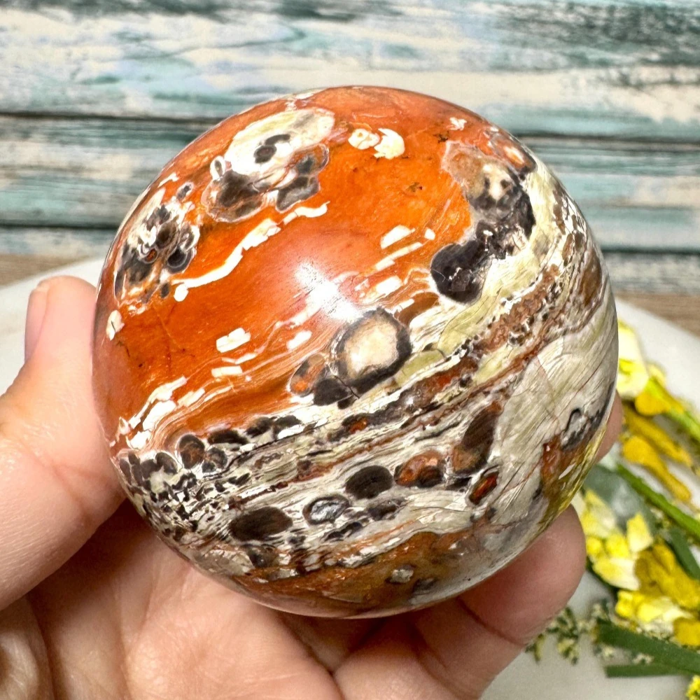 Natural Money Agate Sphere for Home Decor Perfect Holiday Gift Accessories Suitable for Relatives and Friends During Festivals