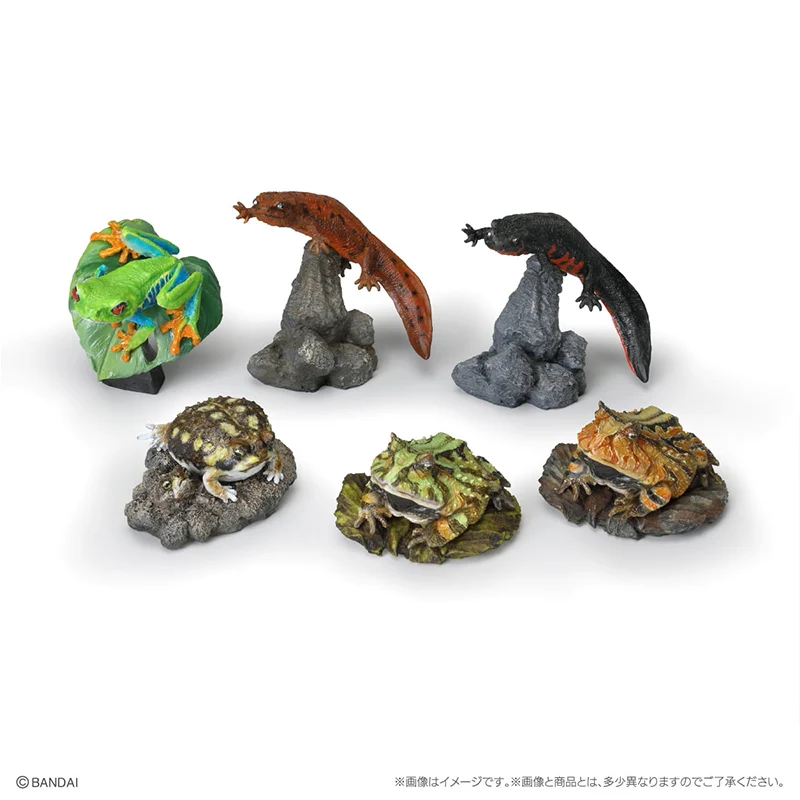 Figuras de Animales Anfibios Realistas de Bandai Namco, Originales, en Existencia, Vol.2, Juguetes de Cápsula Gachapon, Modelo de Salamandra con Cuernos