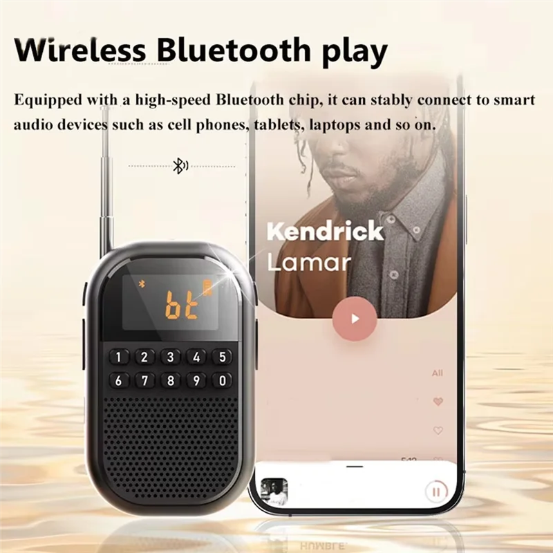 B03B-Mini Pocket FM AM Radio Large LCD Display Radios Receiver Wireless Bluetooth Speaker TF Card Music Player For Elder