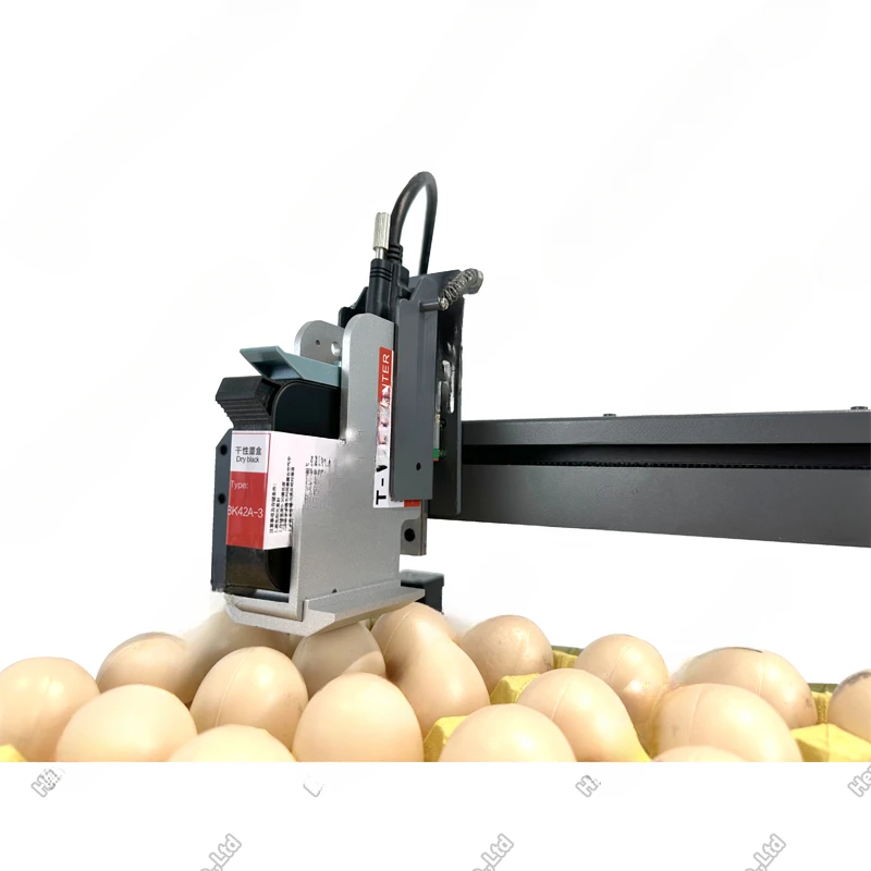 Vinica XY110 technology golden supplier  eggs date  inkjet printer Logo printing on eggs surface