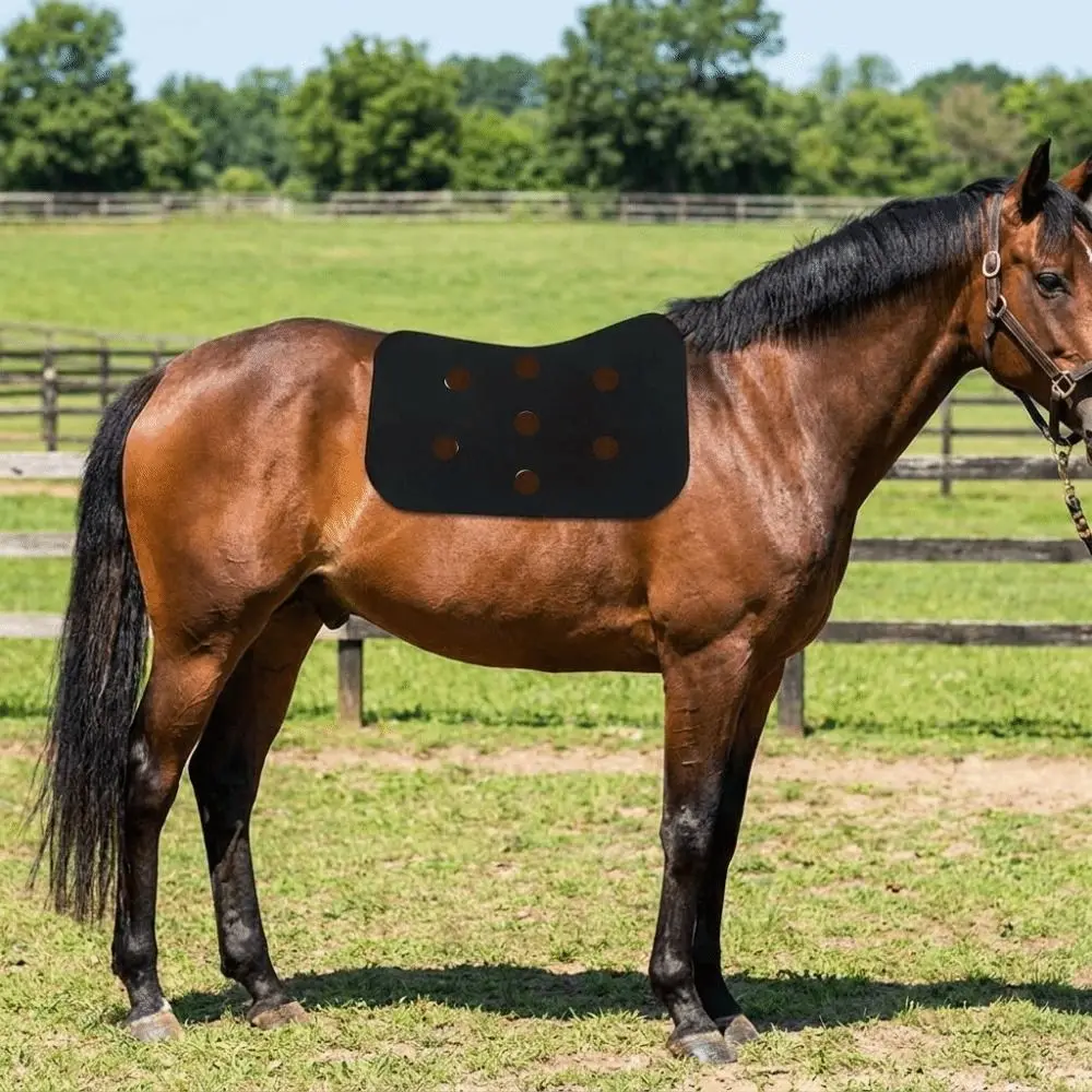 almofada-de-selim-de-feltro-com-absorcao-de-choque-respiravel-e-confortavel-almofada-de-assento-acolchoada-para-montaria-com-absorcao-de-suor-e-conforto-para-cavalos