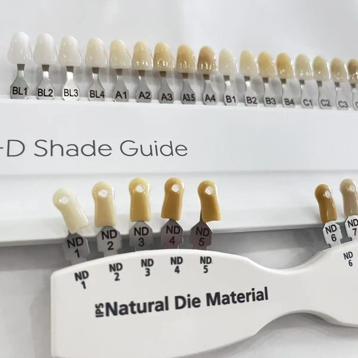 Intermedio en Odontología: La Clave para Sonrisas Naturales y Estéticas con Paletas de Color Dental