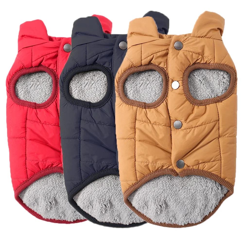 #24 Latest Puppy Coats Offers