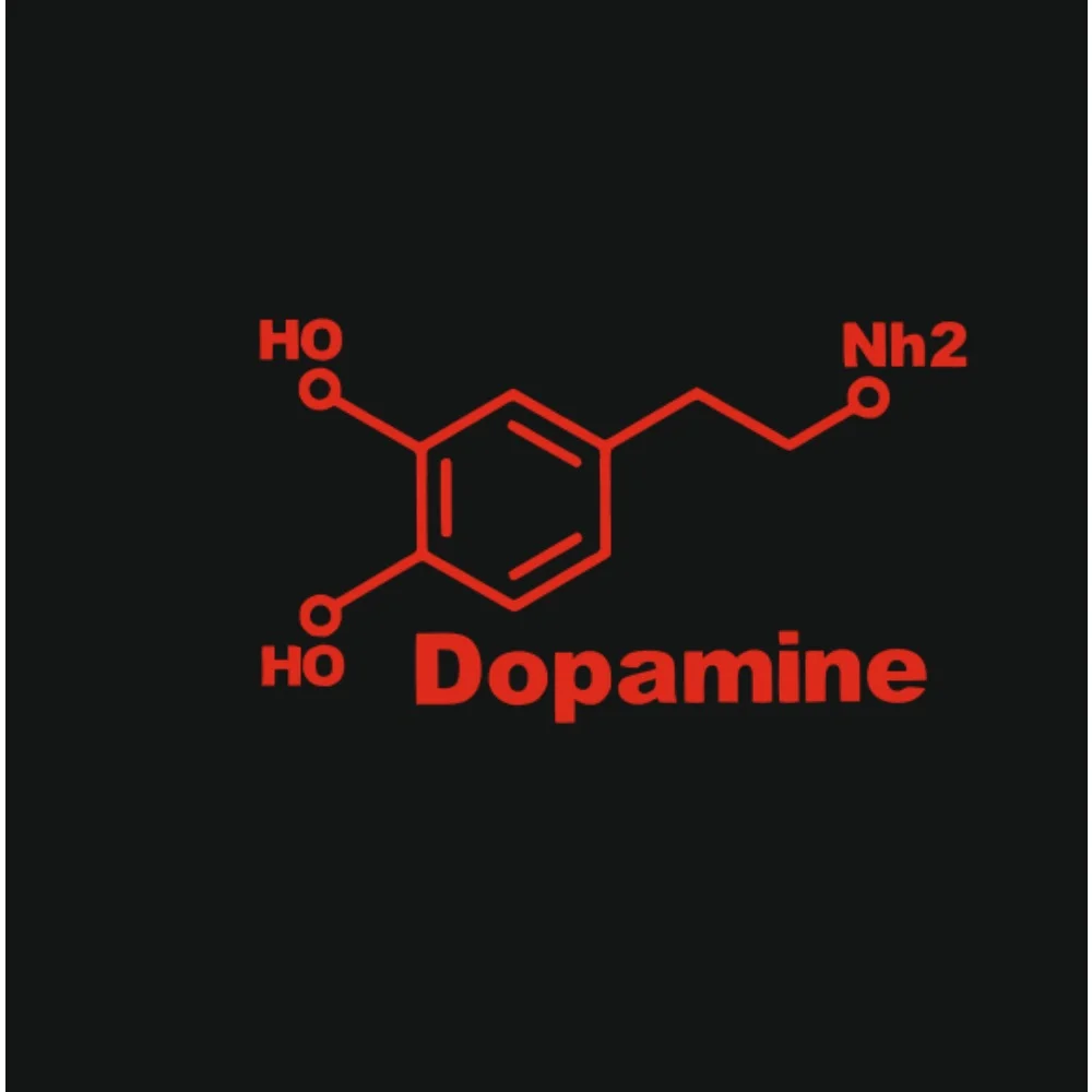 1PC Dopamine Molecule Stickers Black White Waterproof Vinyl Decals For Car Laptop Science Decor