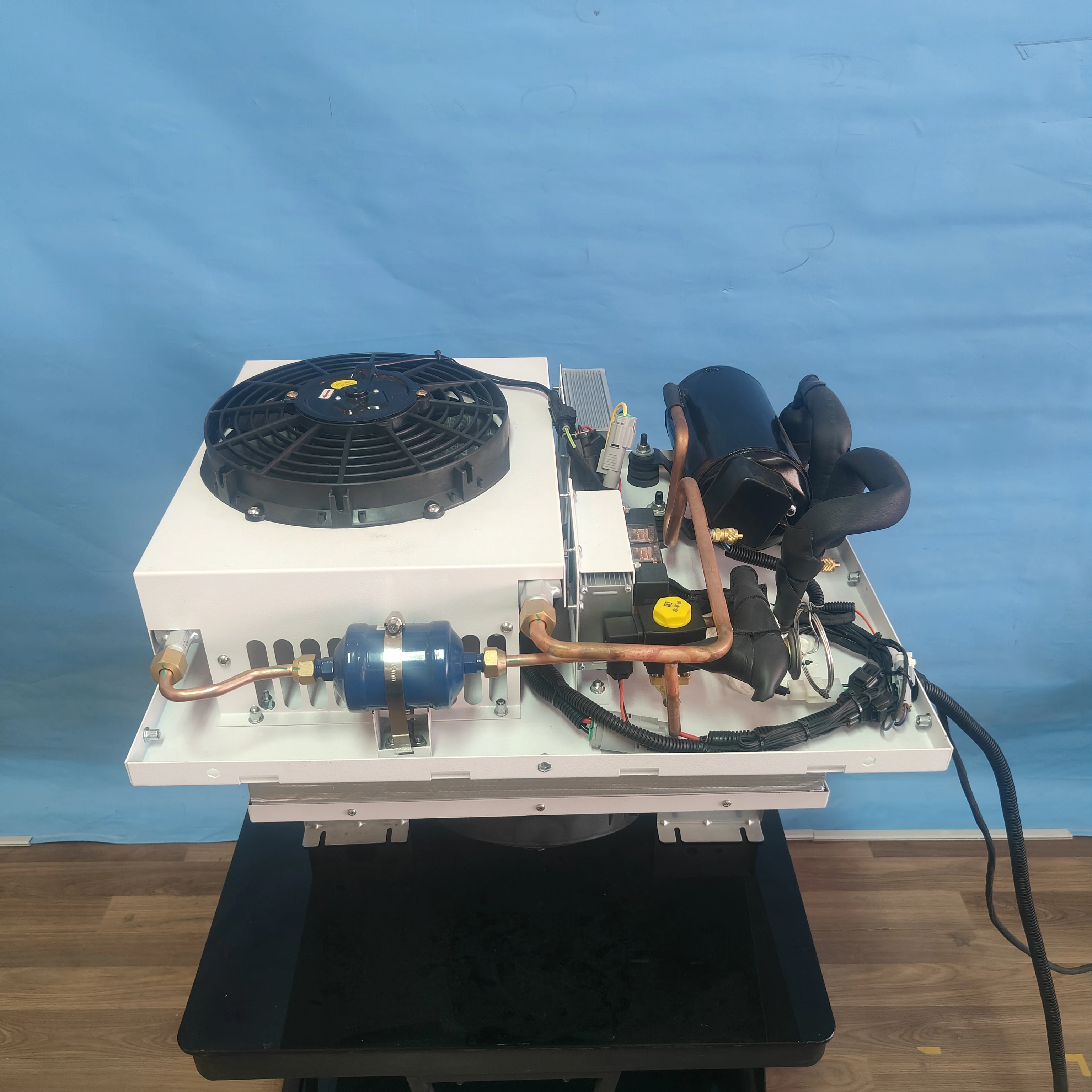 12 فولت 24 فولت 48 فولت على السطح دراجة ثلاثية العجلات المبردة شاحنة ثلاجة شاحنة وحدة تبريد كهربائية للحوم المجمدة #6