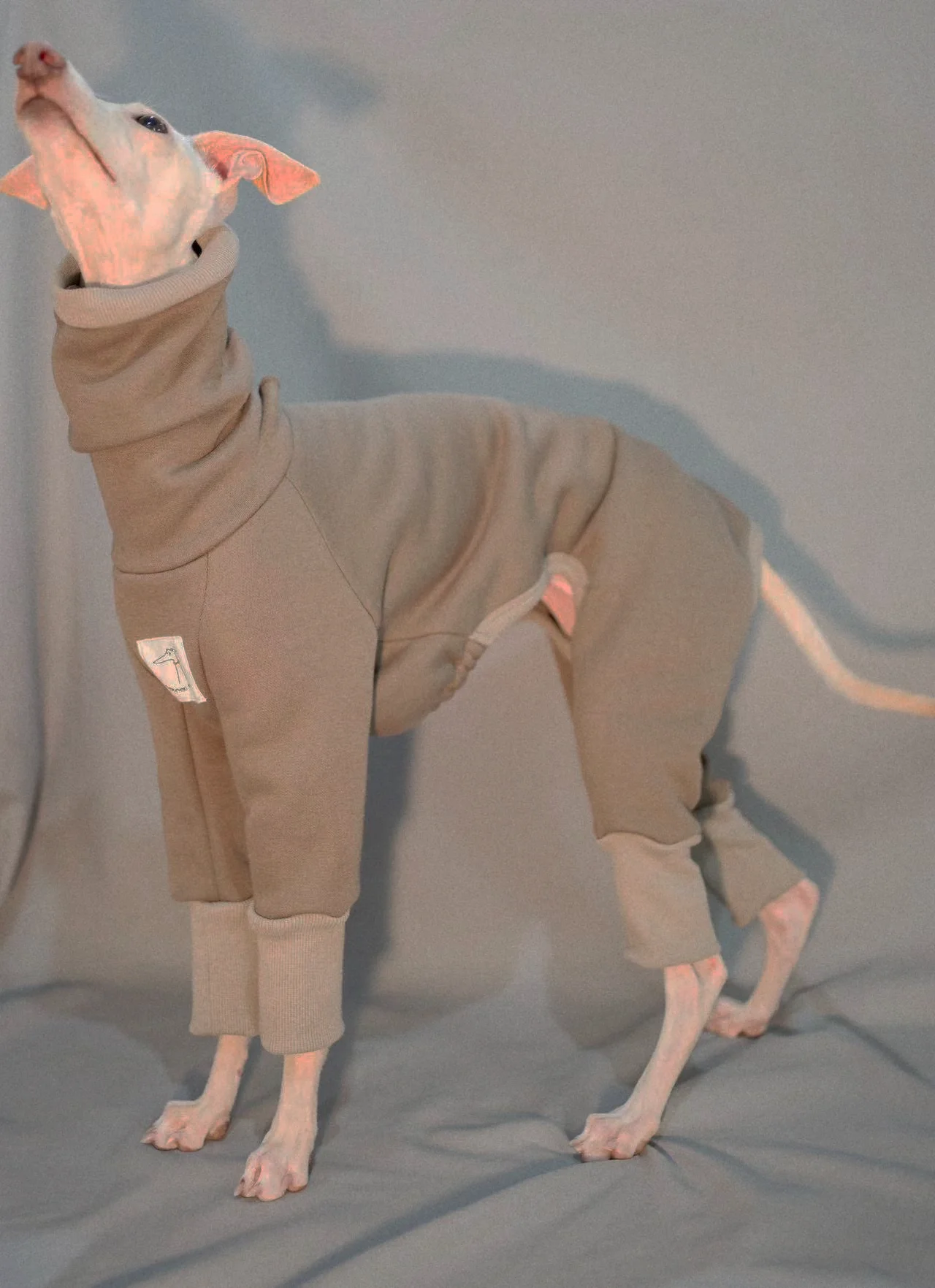 Gray puppy onesie high collar whippet sweatshirt Italian greyhound velvet warm coat