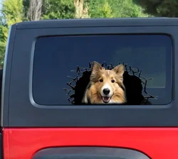 Sheltie 3D decal, cracked window decal , Sheltie sticker