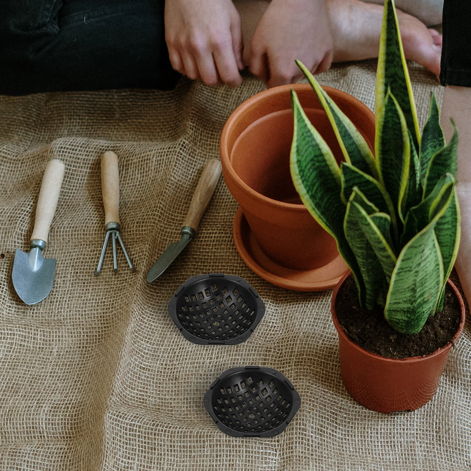 20 قطعة وعاء الزهور وسادة الصرف 5.6 سنتيمتر شبكة مستديرة للمزارعين بونساي الأواني عالية الكثافة البلاستيك أسفل ثقب تصفية حصيرة حديقة أداة #3