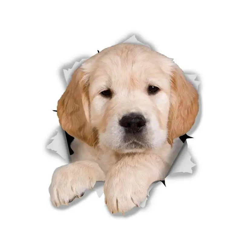 M463 Wurst Hund Rottweiler Hund Yorkshire Terrier Hund PVC Haushalt Dekoration Wand Aufkleber Toilette Aufkleber – Detail 20