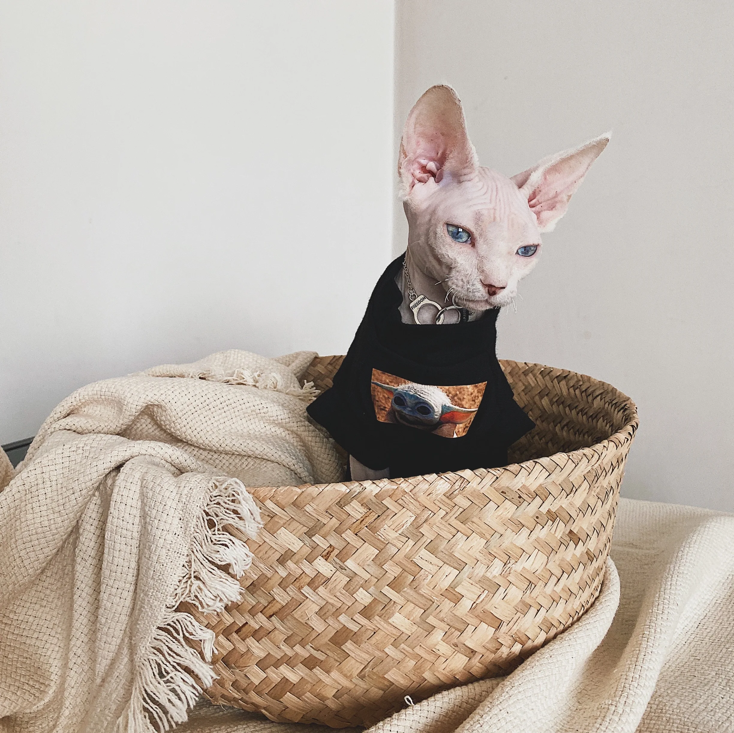 Cat Clothing Spring Summer Cotton shirt for Sphynx Fashion Black Short Sleeves Coat for Cats Dogs Cartoon Jumpsuit For Devon Rex