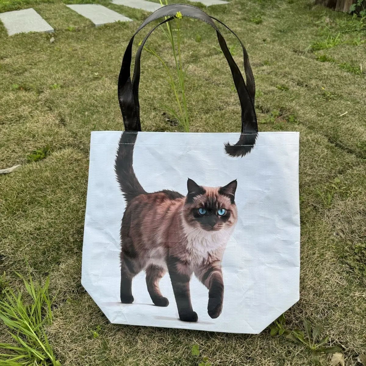 

Женская сумка с 3D-принтом кошки, весенне-летняя, вместительная, в корейском стиле, новая, на плечо, сумка-тоут