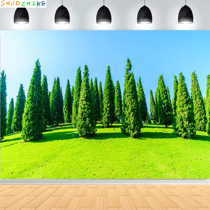 

Tranquil City Park Blue Sky Photography Backdrops Grass Landscape Bathed Morning Sunlight Garden Photo Background CG-04