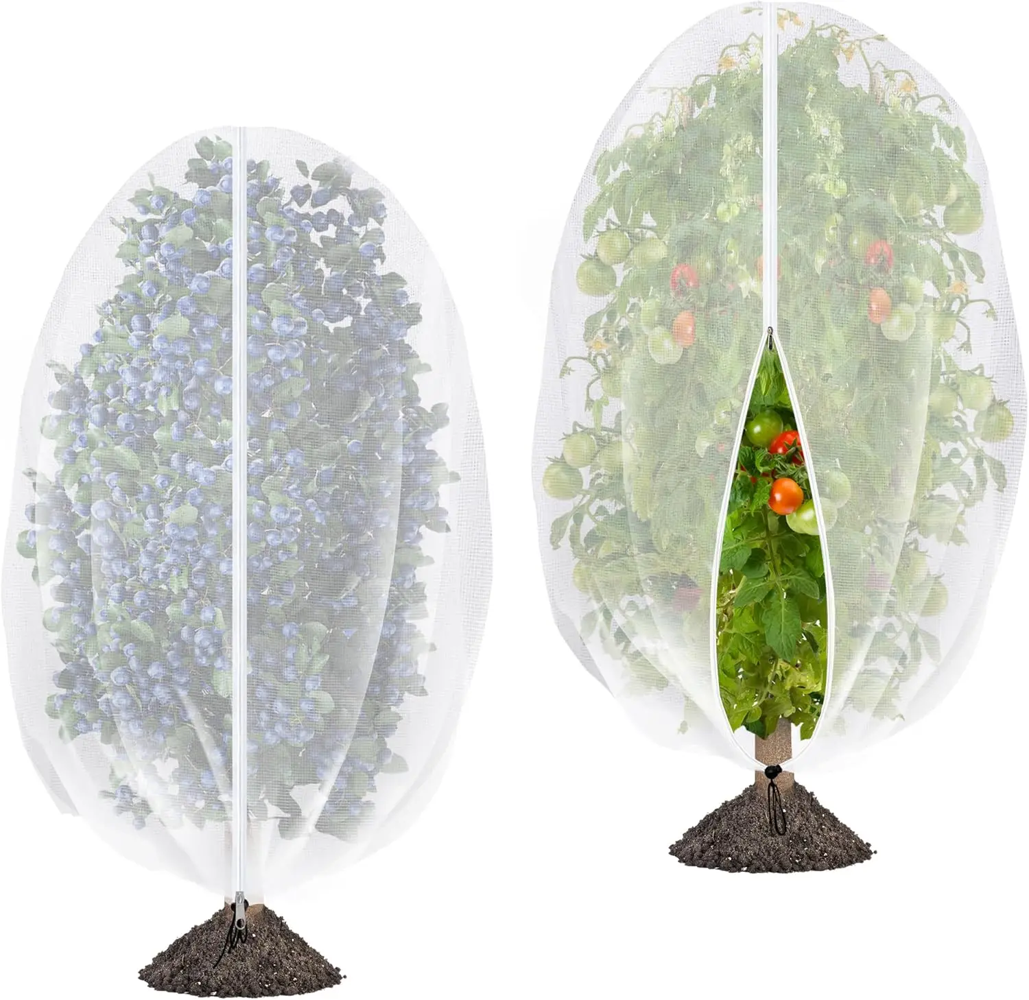 2 Pcs Fruit Tree Ne…