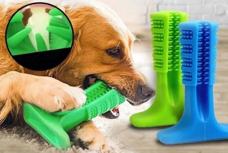 The Apparatus Biting Dog Toothbrush Small-Sized