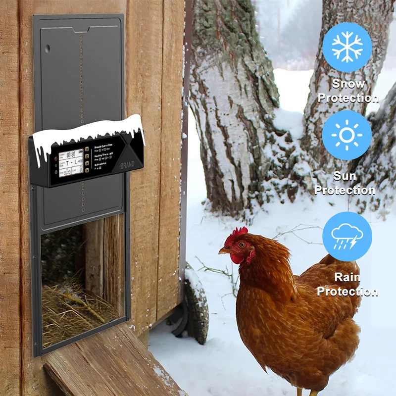Porta automatica per polli Timer intelligente per pollaio Rilevamento della luce Telecomando Sollevamento antiscivolo Protezione nemica naturale Agricoltura di pollame