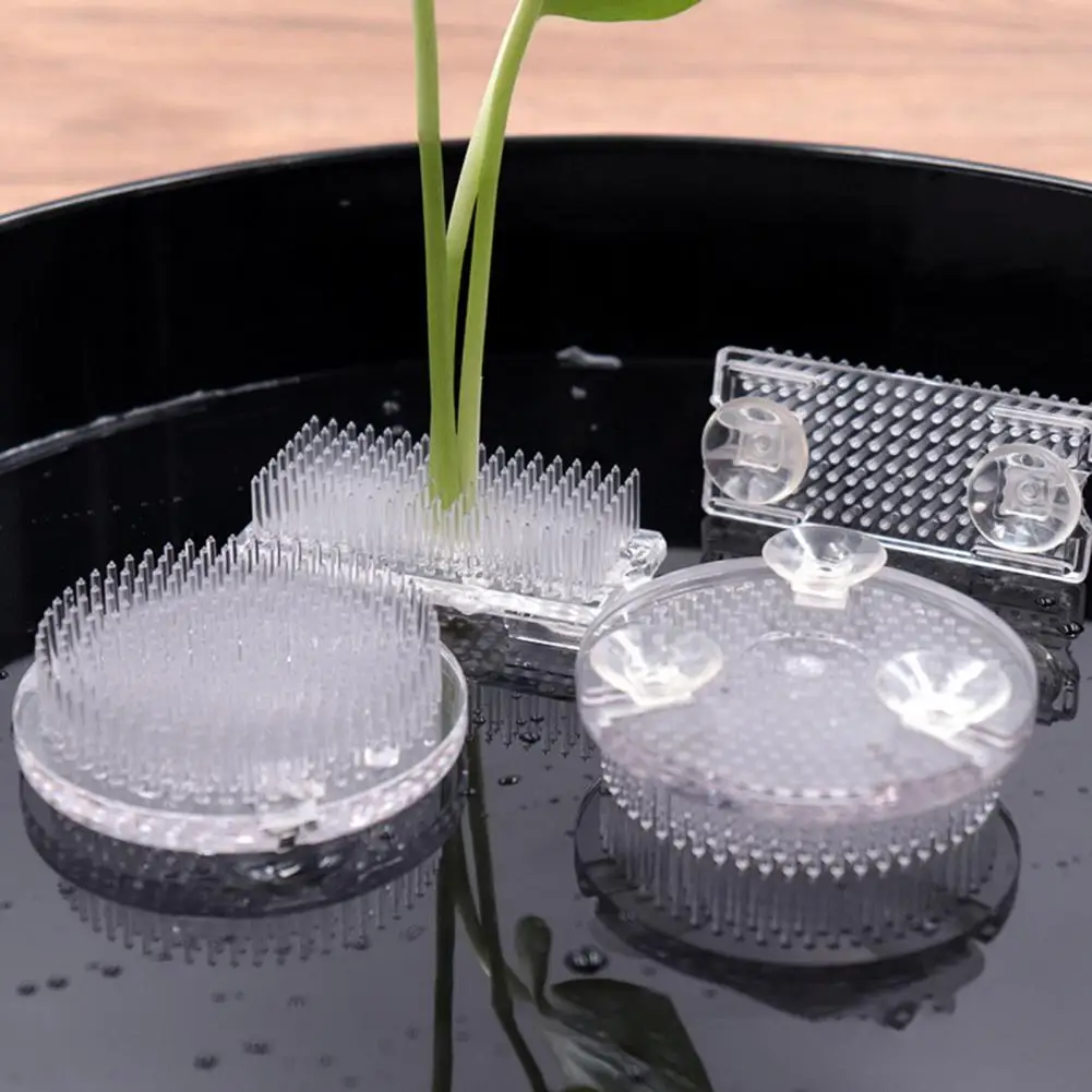 

2 Pcs Flower Frogs Clear Flower Pin Frog Holders Easy To Clean Reusable Frog Holder For Flower Arrangements Home Decor