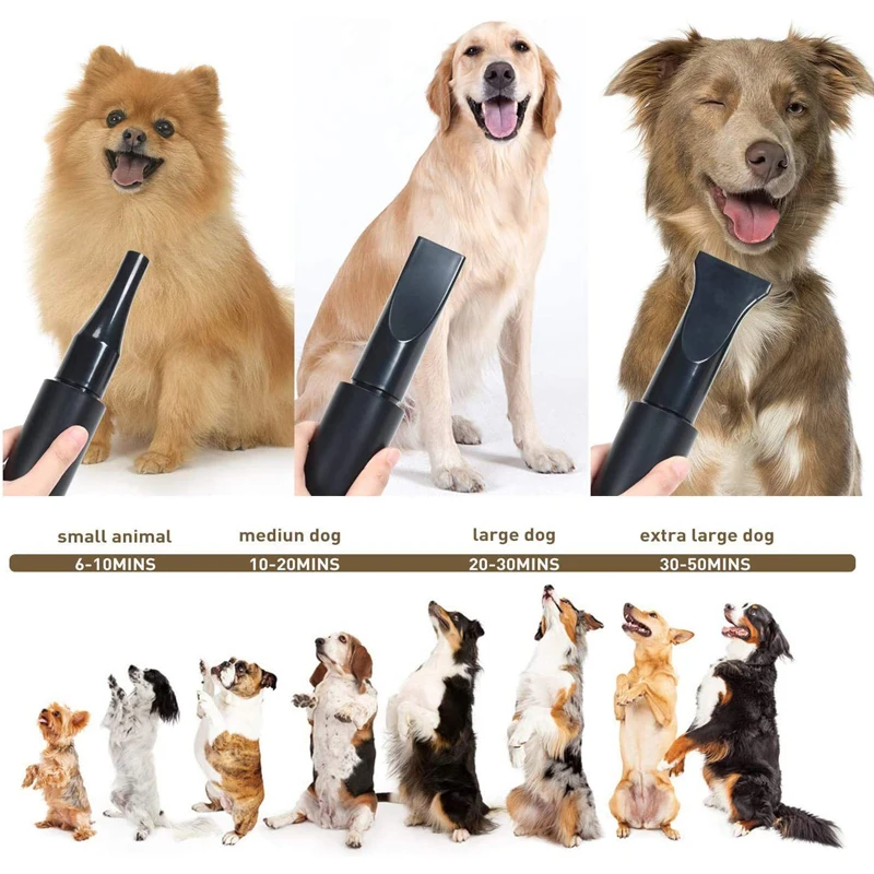 High Power Pet Hair Dryer Hair Blowing Water Blower For Dogs And Cats Pet Grooming Hair Drying Force Dryer Blower