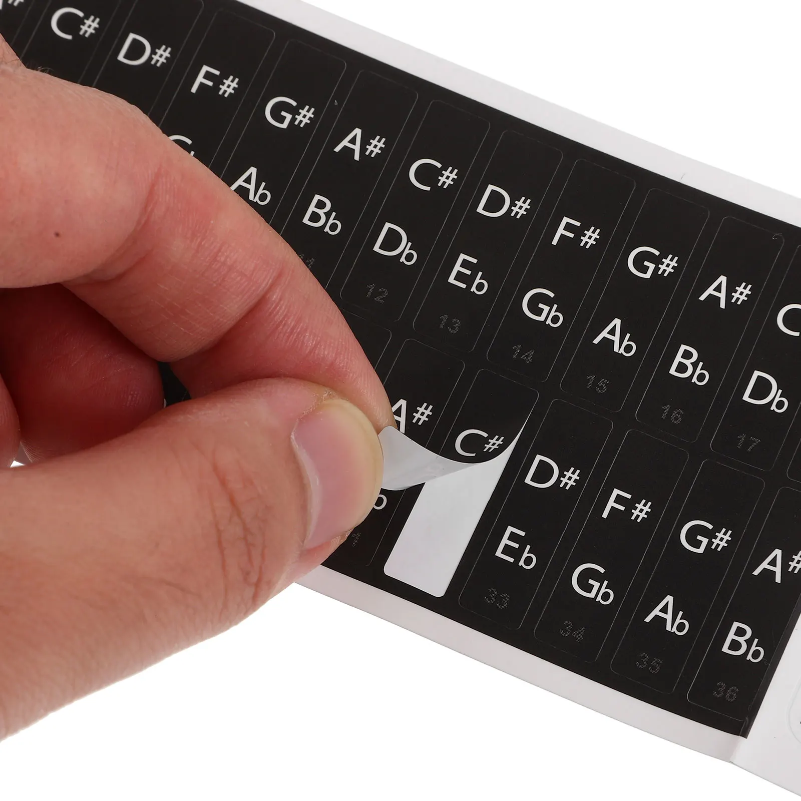 

2 Sheets Piano Keyboard Sticker Stickers Note Labels Beginner Colorful Music Notes Pvc Accessories