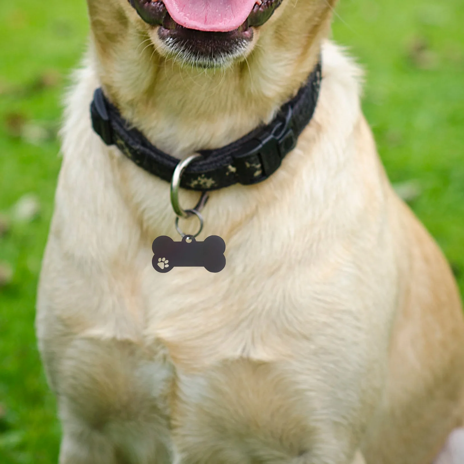 

2Pcs Dog Tag Keychain Stainless Steel Engravable Pet Tags Blank Metal Holes Small Large Dogs Cat Cattle Jewelry Parts