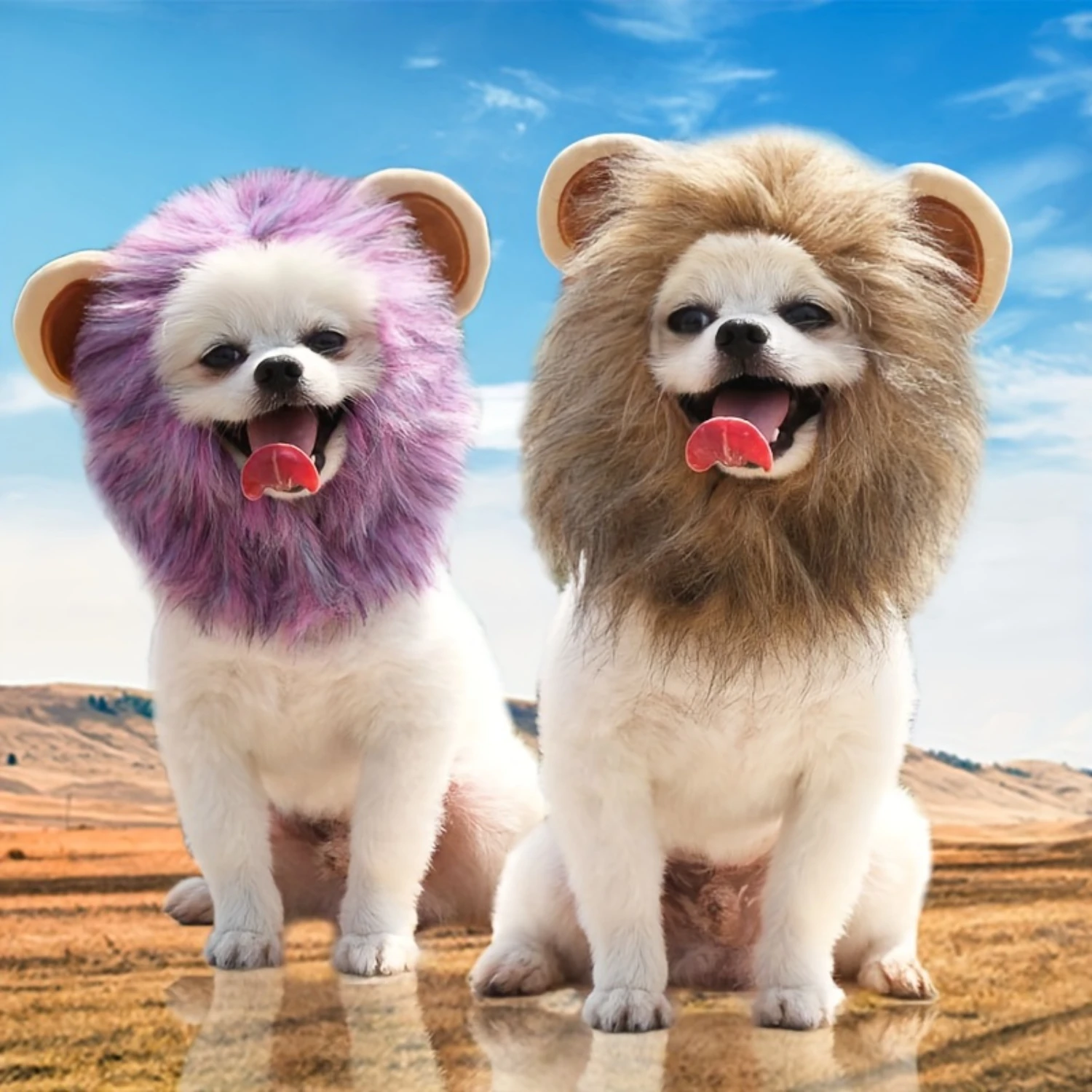 

Halloween Cat Toys Cute Lion Mane Cat Wig Hat For Dogs And Cats Pet Cat Decor Accessories