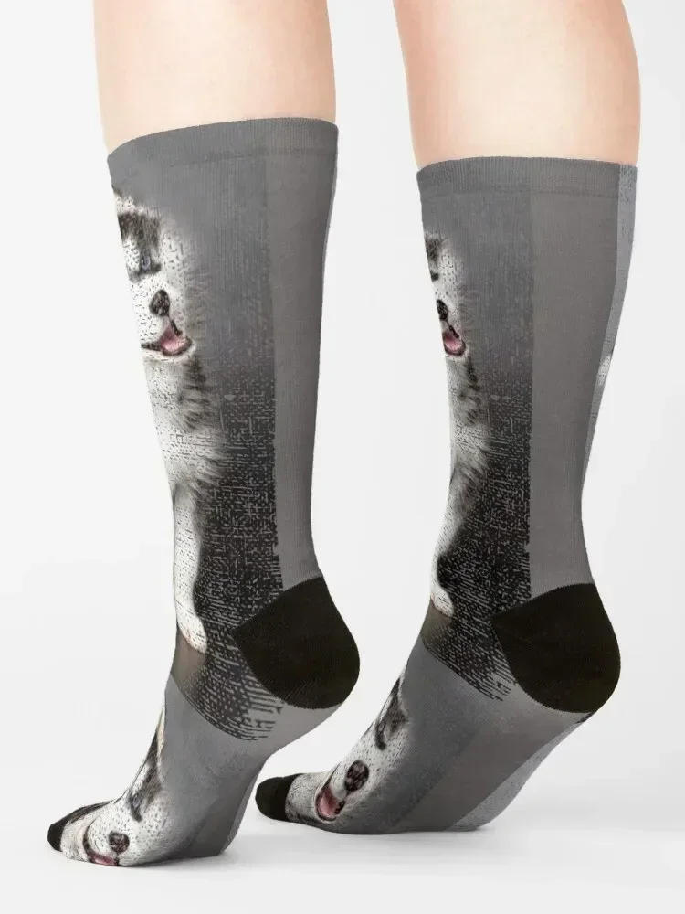 Cute Siberian Husky Dog Vintage Gift Distressed Portrait Socks crazy funny sock with print Women's Socks Men's