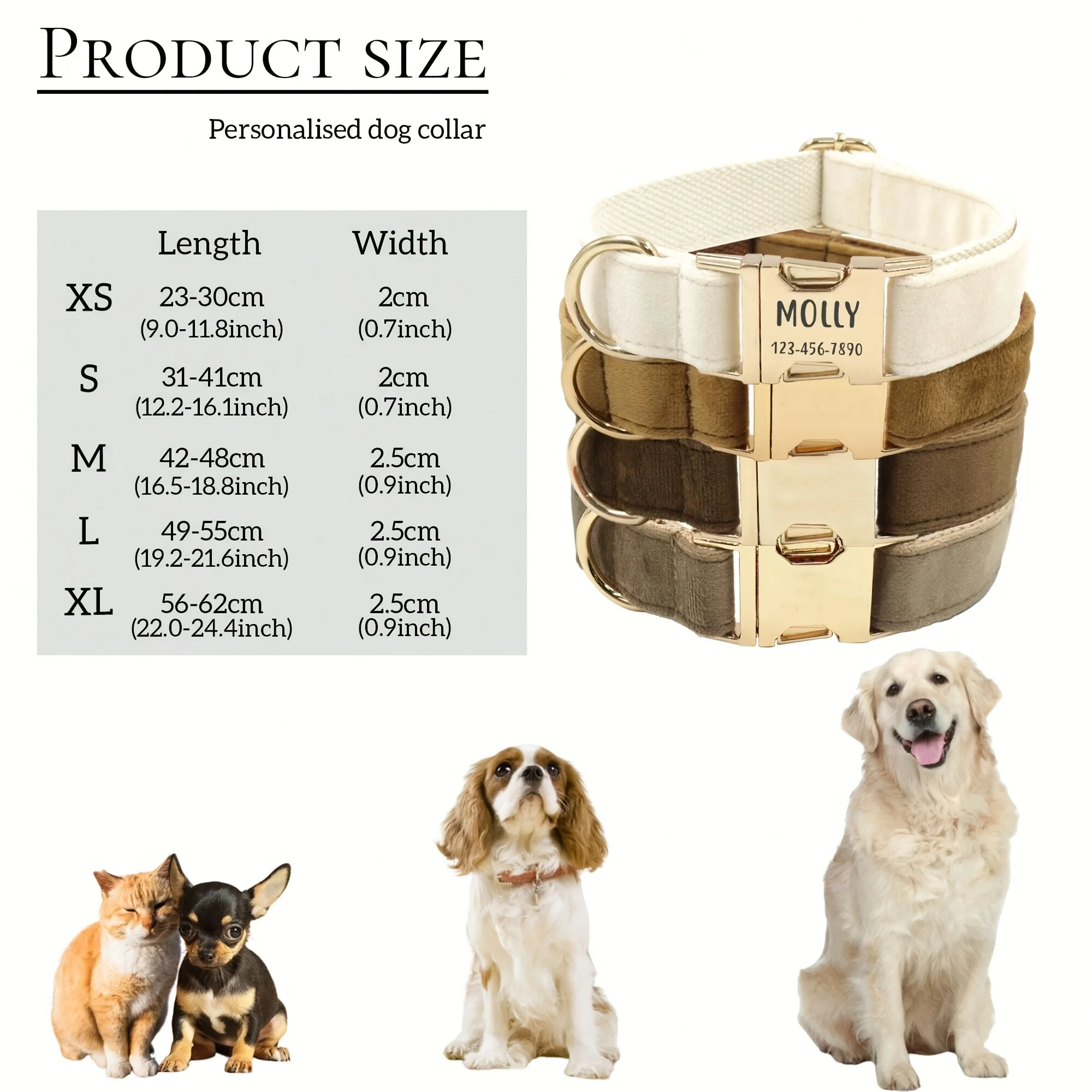 Thumbnail 2 - #58 Best Dog Collars to Buy In 2026