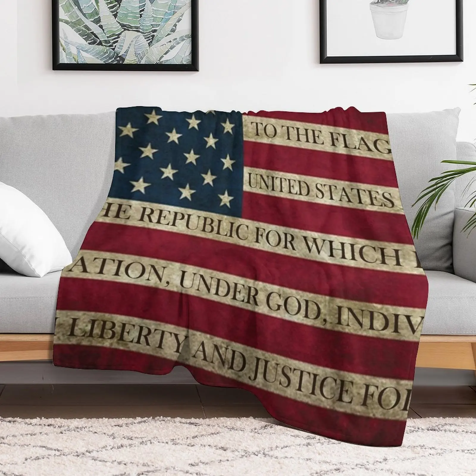 AMERICAN FLAG PLEDGE OF ALLEGIANCE Throw Blanket Hairy Decorative Beds Blankets