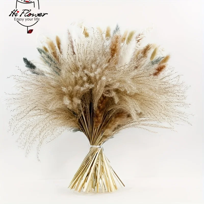 Natural Oats Pampas Bunny Tail Grass Dried Flowers for Boho Home Room Christmas Decor Lagurus Ovatus Wedding Party Decoration