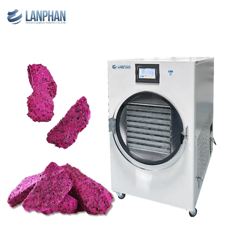 Commercial Laboratory HFD-30  8 Trays 40KG 45KG Large Vacuum Freeze Dryer Lyophilizer Freeze Drying Equipment 380V